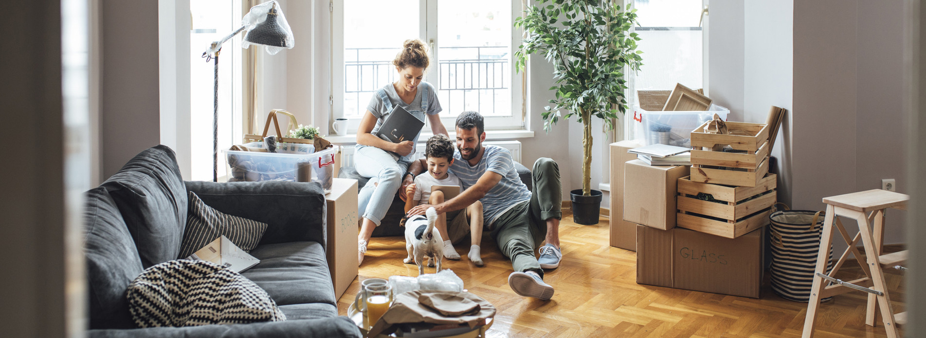 Pragmatic Multi Services à Paris, membre du réseau expert Vachette